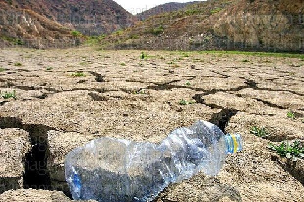 external image Sequia-Provincia-de-Malaga_8262.jpg