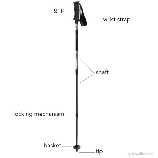 swiss gear hiking pole