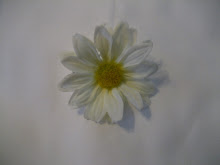 White Flower #F5