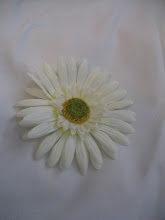 White flower #F9