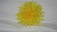 Yellow flower #F19
