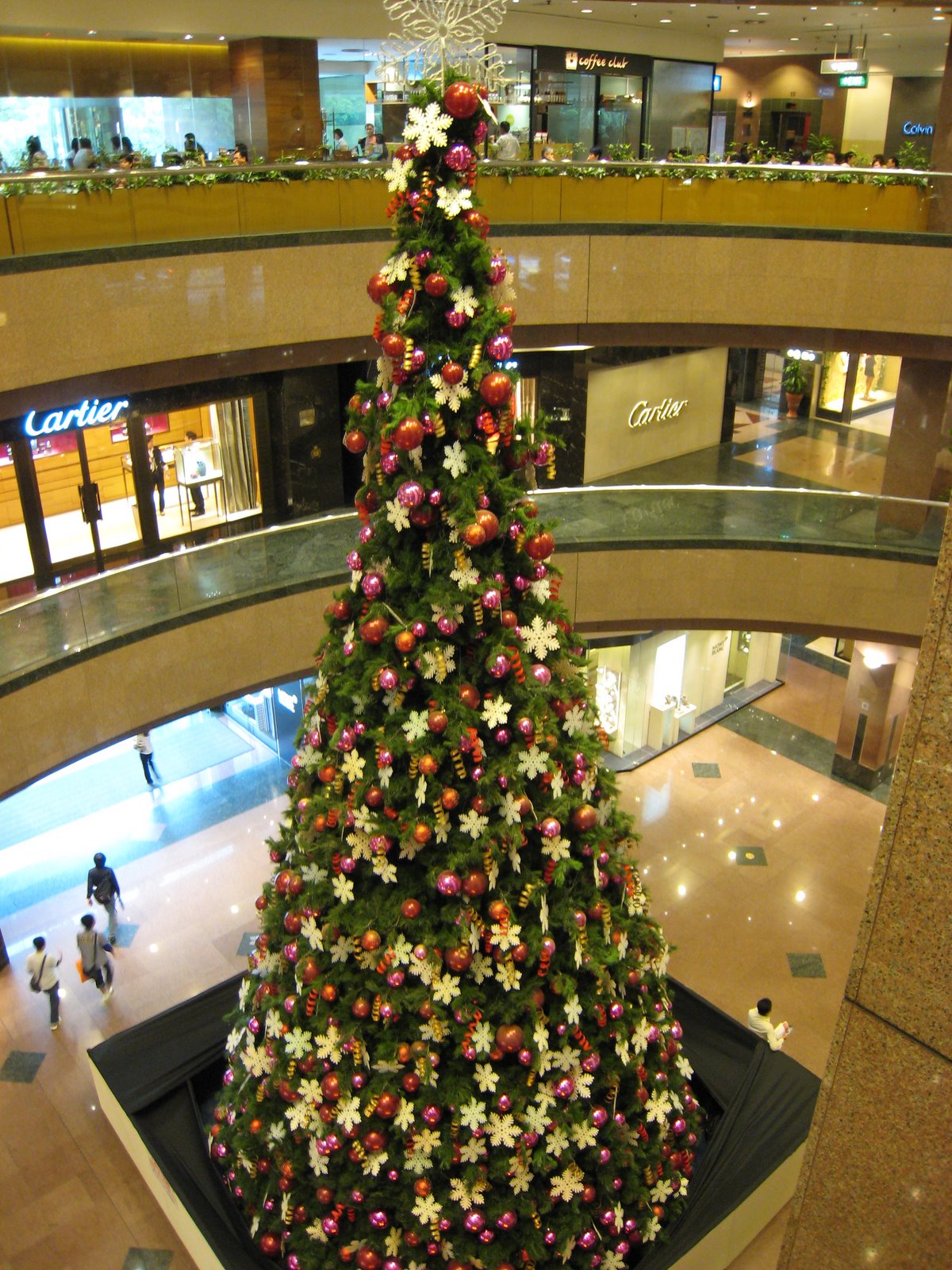 [IMG_4644.JPG]