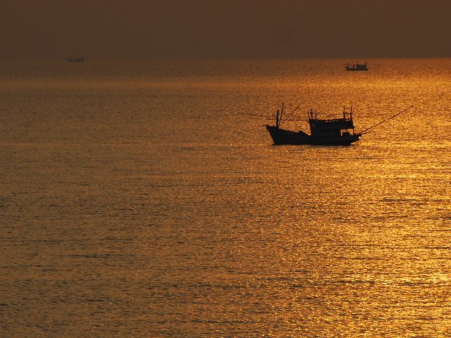 [SSC_5705.JPG]