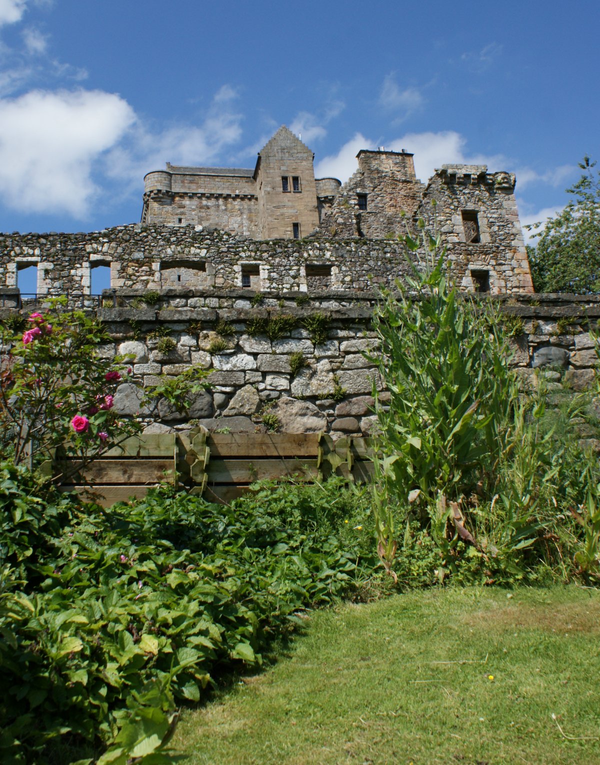 [July+Photograph+Castle+Campbell+Scotland+03.jpg]