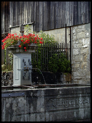 Based in Villigen: July 2007