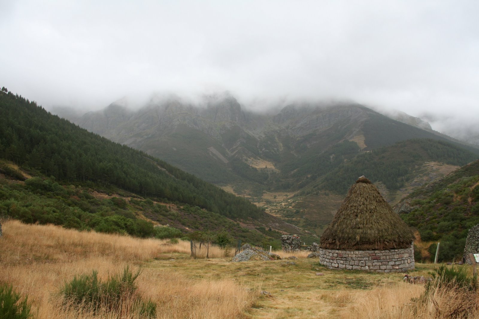 [IMG_7366.JPG]