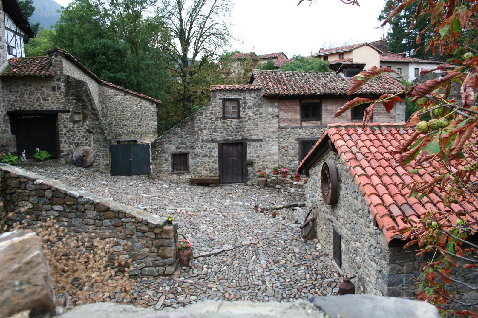 [IMG_7421.JPG]