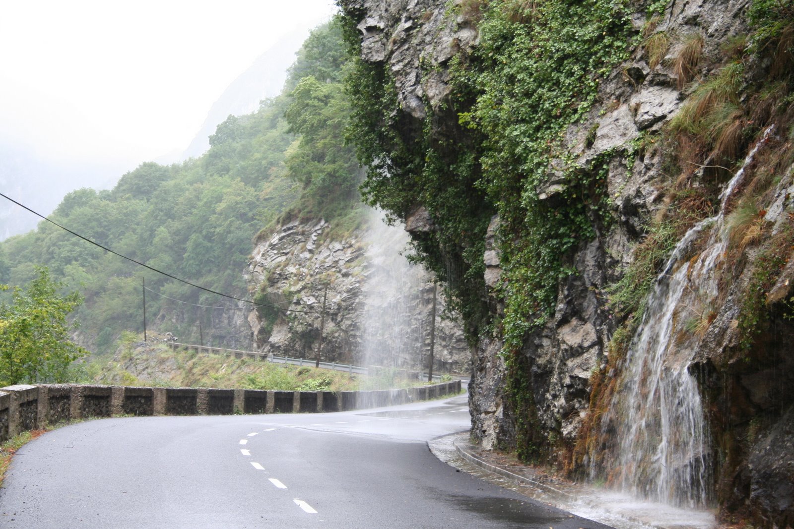[IMG_7306.JPG]