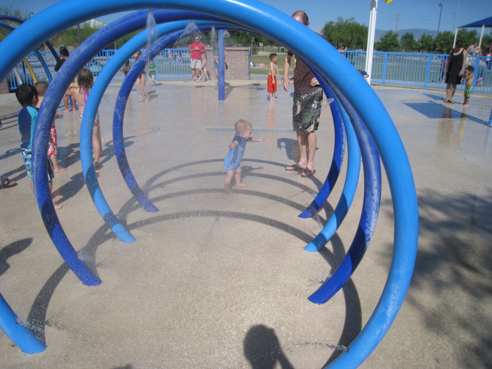 Barking Baby Stories and other Mommy Tales Swimming, Splash Park, and