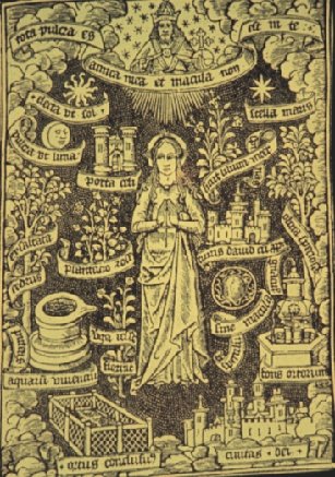 [SL-1-03-6-ImmaculateConcept.JPG]