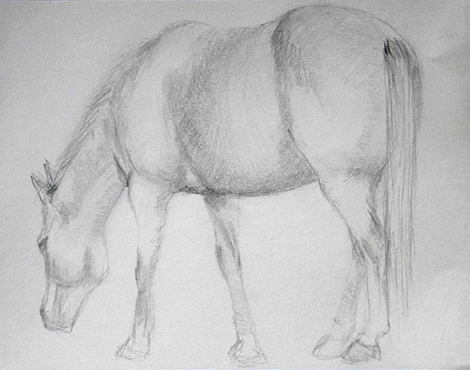 easy horse sketch