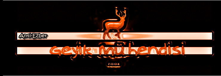 Mühendis-i Geyik  |  Okunmuş Blog