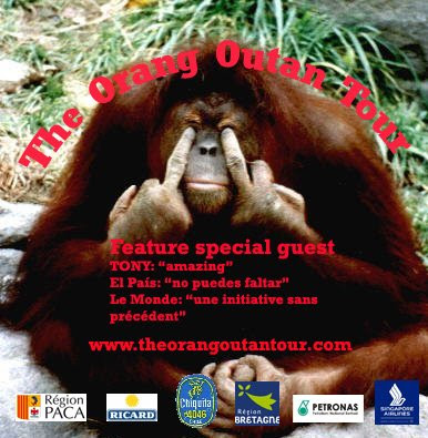 Les vacances 2012 Orang+outan+1+copia