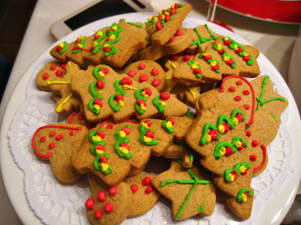 Ayse's World: Ocak 2011