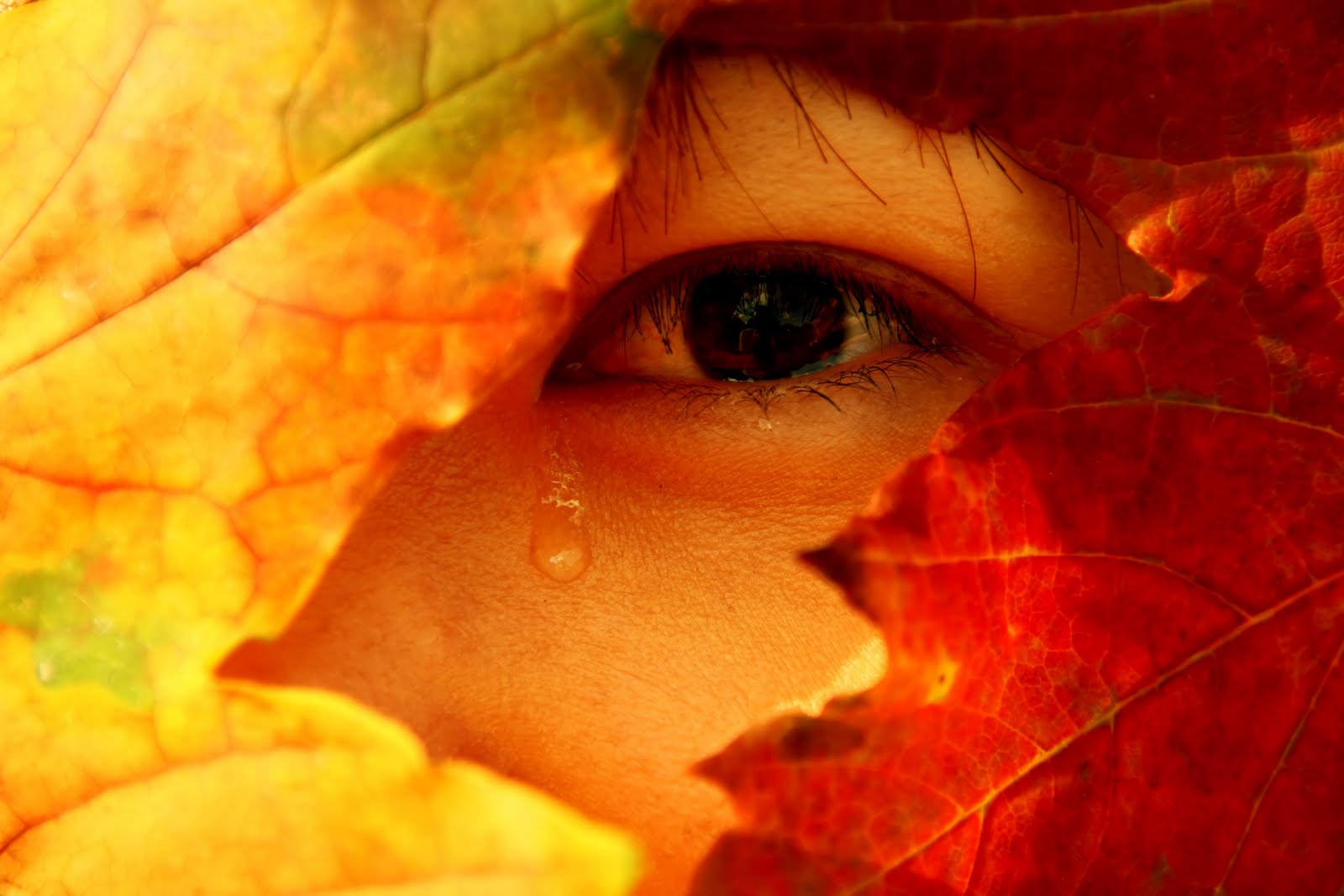 [tears5..22.JPG]