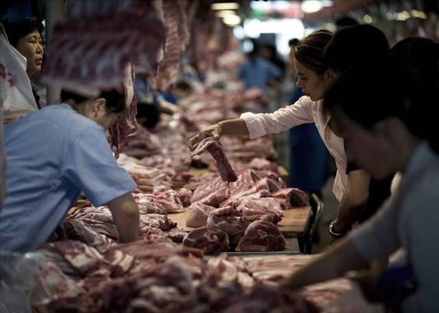 Domuz Gribine Karşı Bilgilendirme DOMUZ ETİ YİYENLER DOMUZ GRİBİNE