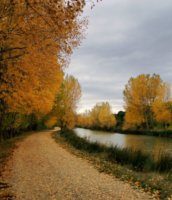 Canal de Castilla