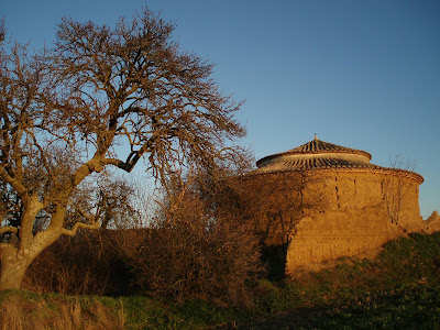 Palomar, Villasirga