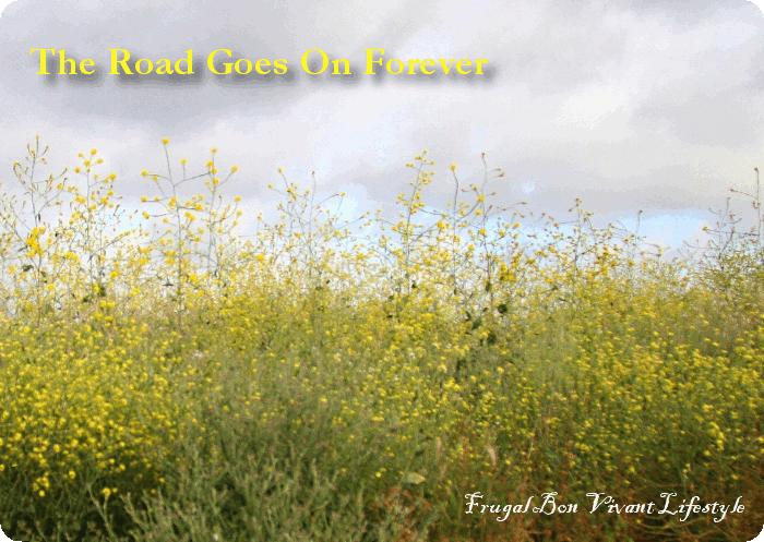 The Road Goes On Forever