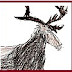BIOMA TUNDRA thumbnail