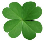 Clover Lore