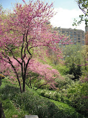 They might not have rolling hills, but central park is pretty damn green