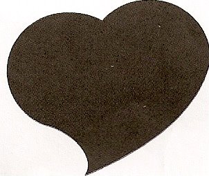 [photo-4.jpg]