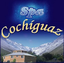 www.cochiguaz.com