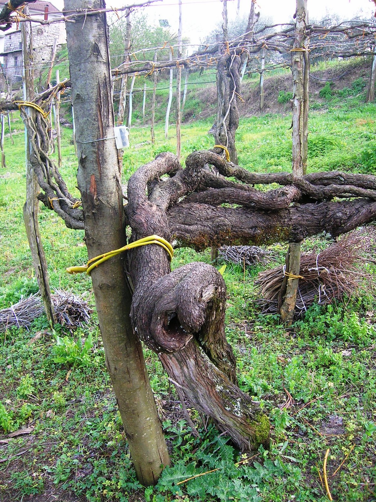 [DSCN2815.JPG]