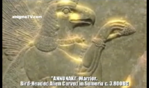 ANNUNAKI SPECIES