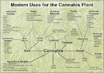 Modern uses for the Cannabis plant