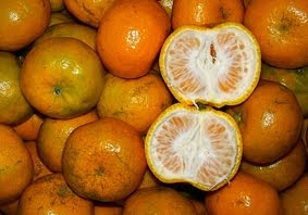 Kumpulan Budidaya: Budidaya Jeruk