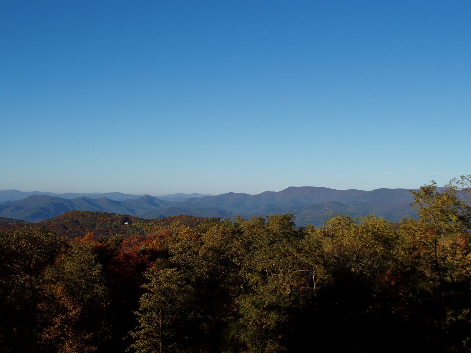 [Morning+View+102008.JPG]