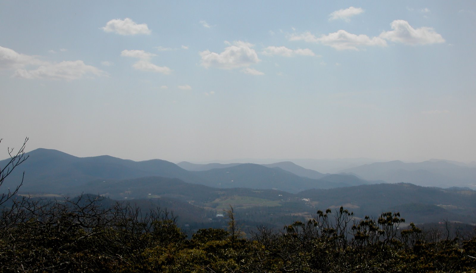 [Blog+Photo.jpg]
