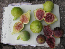 Heaven in a Fig