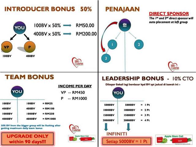 PLAN PEMASARAN