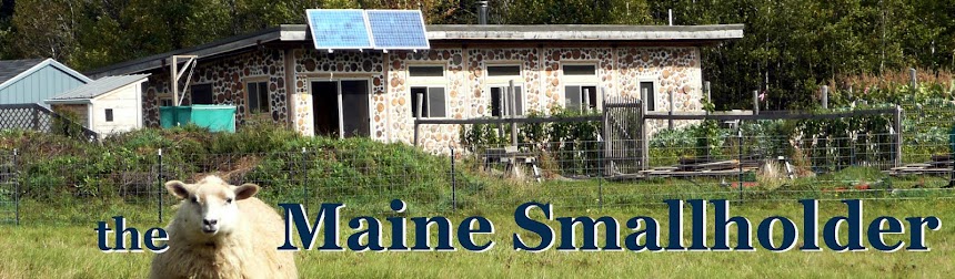 The Maine Smallholder