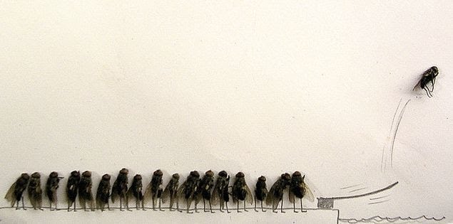 Paco Reyes