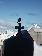 Cementerio Regional