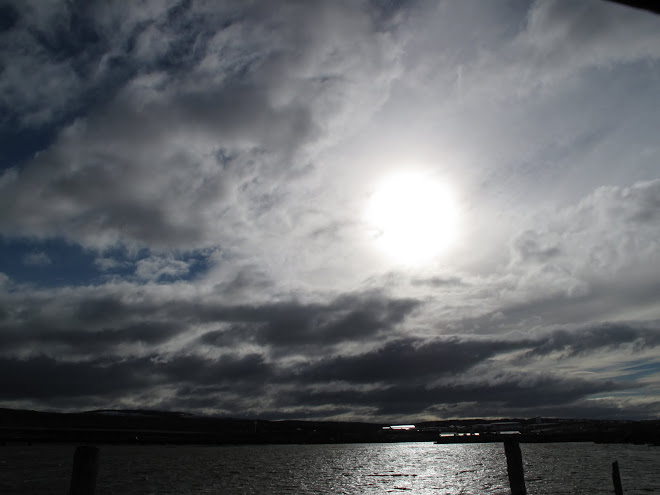 Humedal  En Punta Arenas