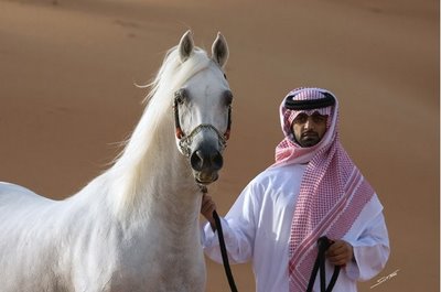 Arab bahasa kuda dalam Pengertian Hal