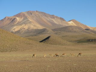 [IMG_6956.JPG]