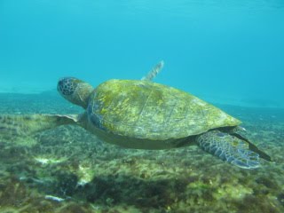 [IMG_1384.JPG]