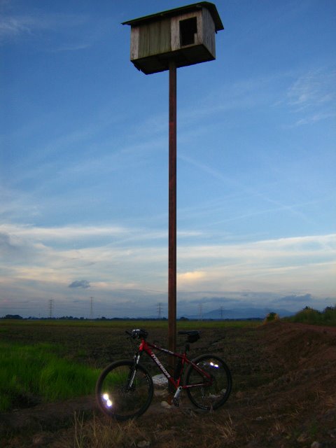 [IMG_8899.JPG]