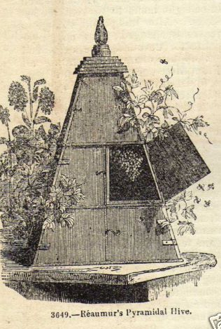 [Reaumur+Pyramidal+Hive.png]