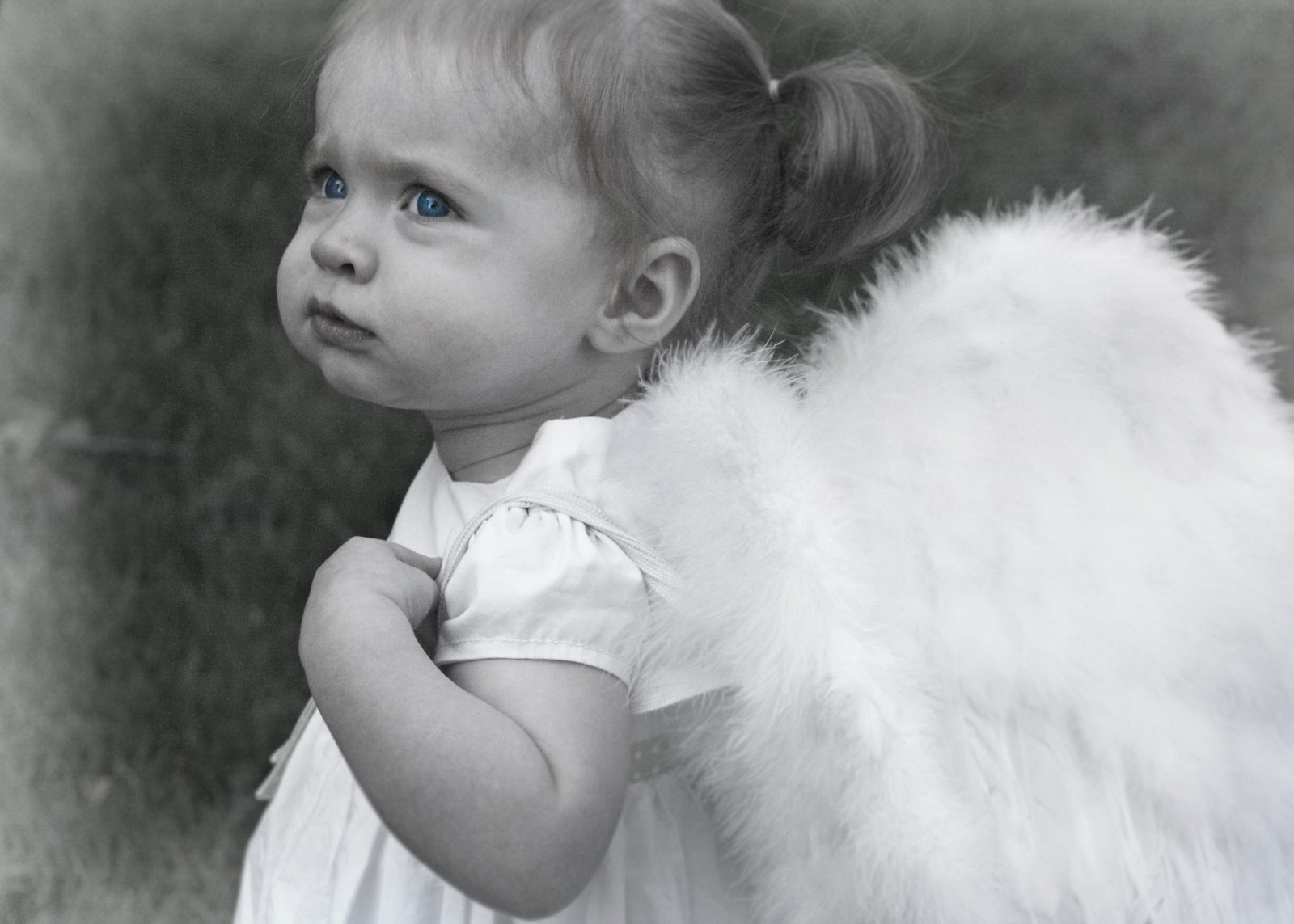 Learning from Life What do Angels look like?