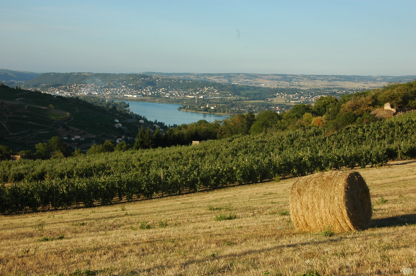 [rhone+valley.JPG]