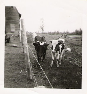 Farming is a Family Tradition