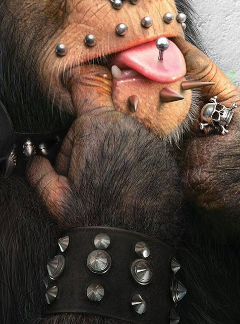 Funny Animal Fashions