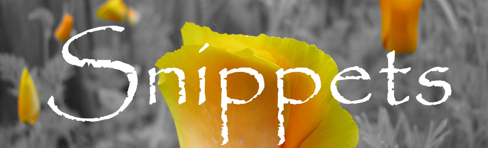 Snippets